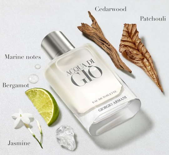 Giorgio Armani Acqua Di Giò 100mL 1.1 Premium