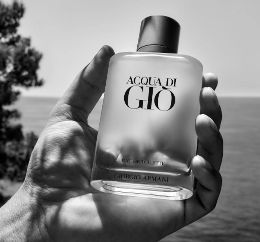 Giorgio Armani Acqua Di Giò 100mL 1.1 Premium